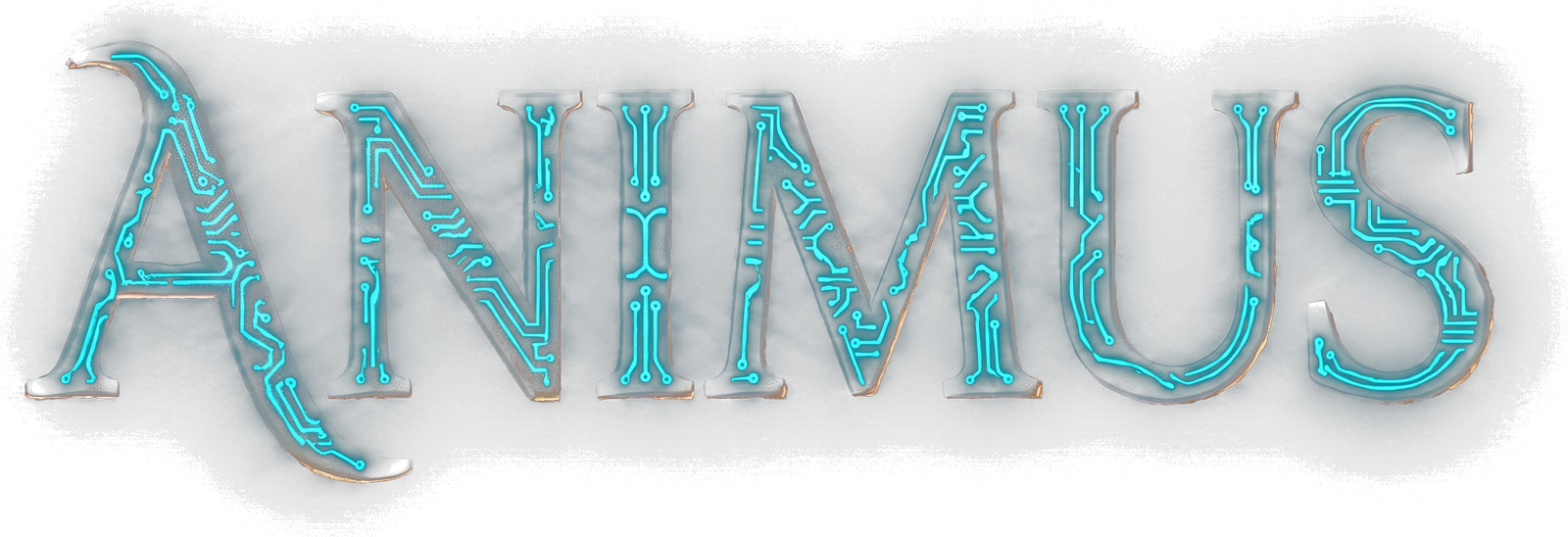 Animus